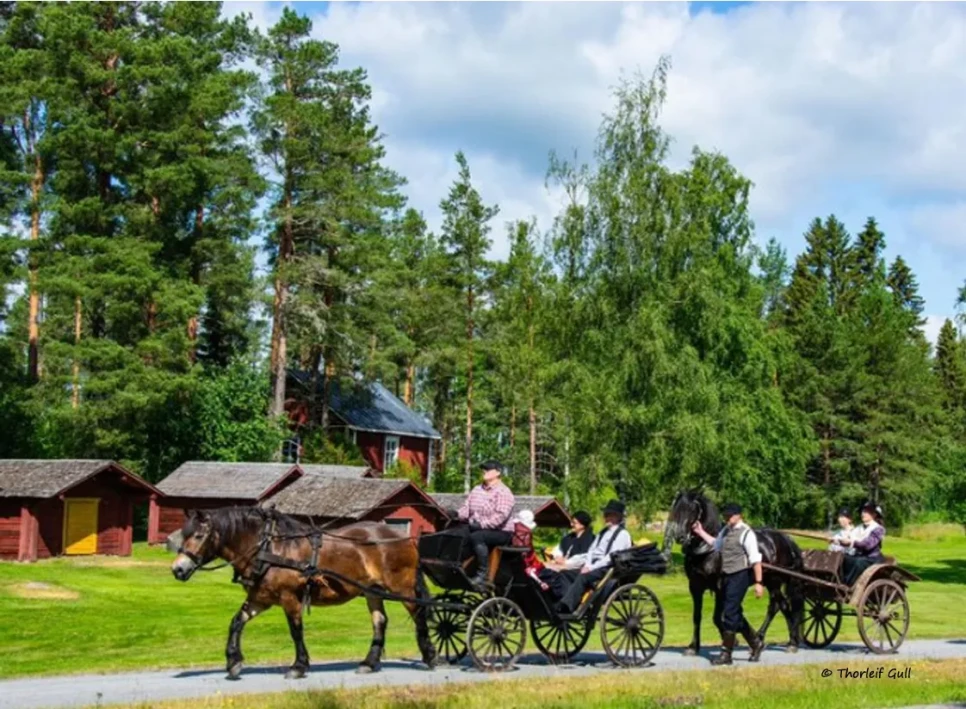 Skarmbild 2024 06 24 204625