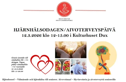 Skarmbild 2026 02 09 105558