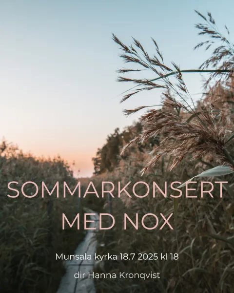 Sommarkonsert 2025 insta