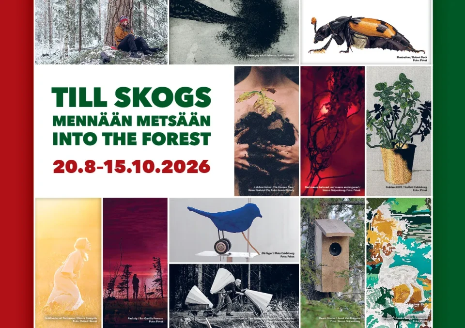 Till Skogs Mennaan metsaan flyer 1