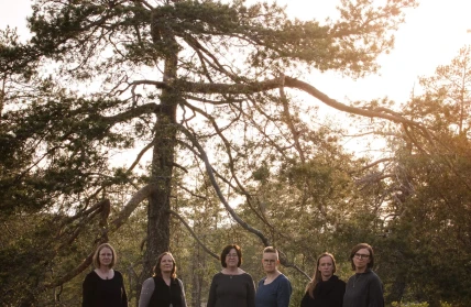 Vilja Urkraft och rotter 2025 affisch