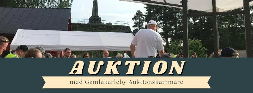 auktion photo