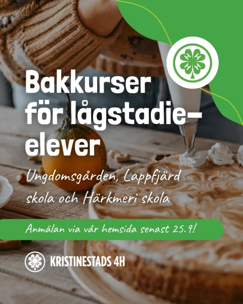 bakkurser ungdomsgarden kristinestads4h