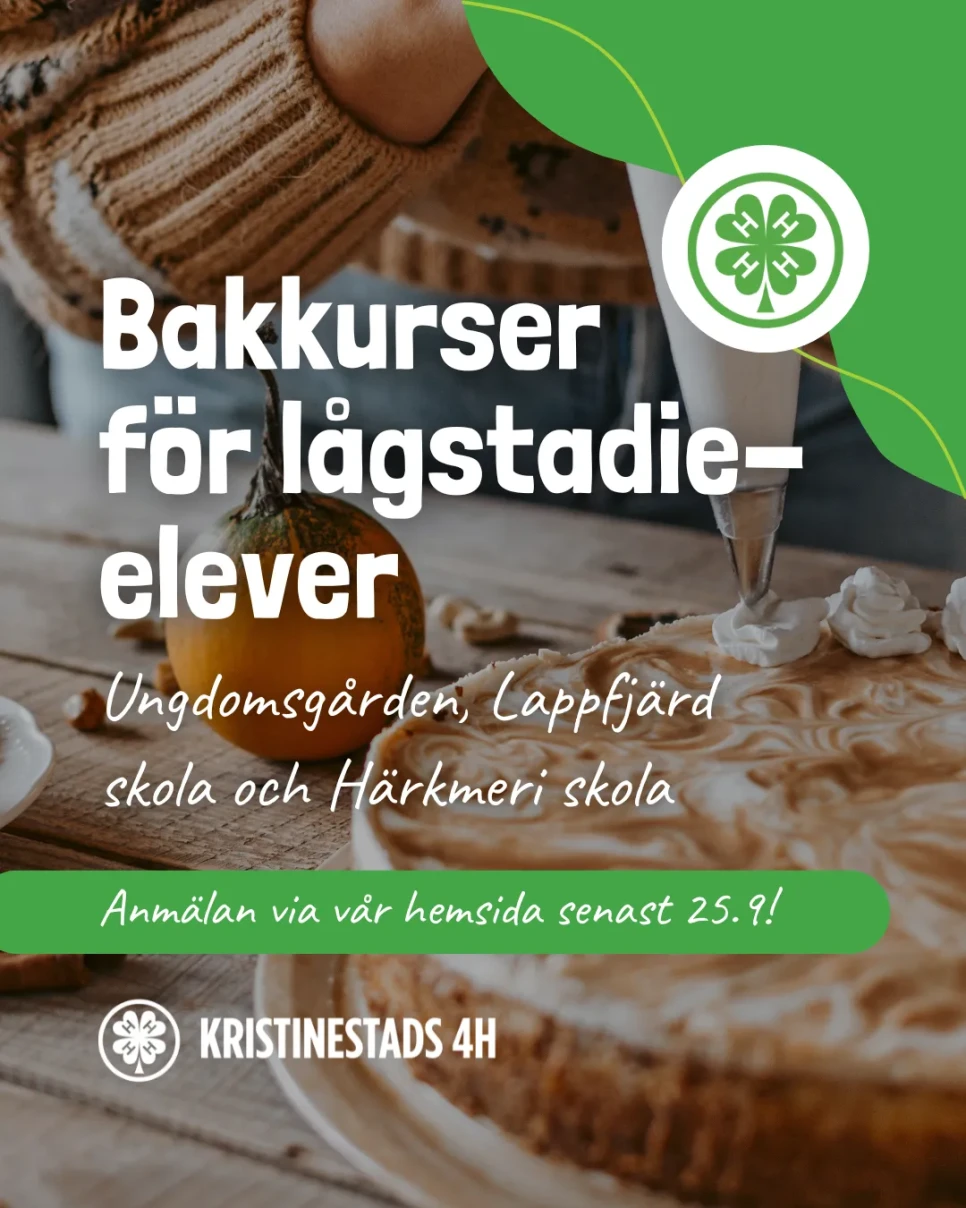 bakkurser ungdomsgarden kristinestads4h
