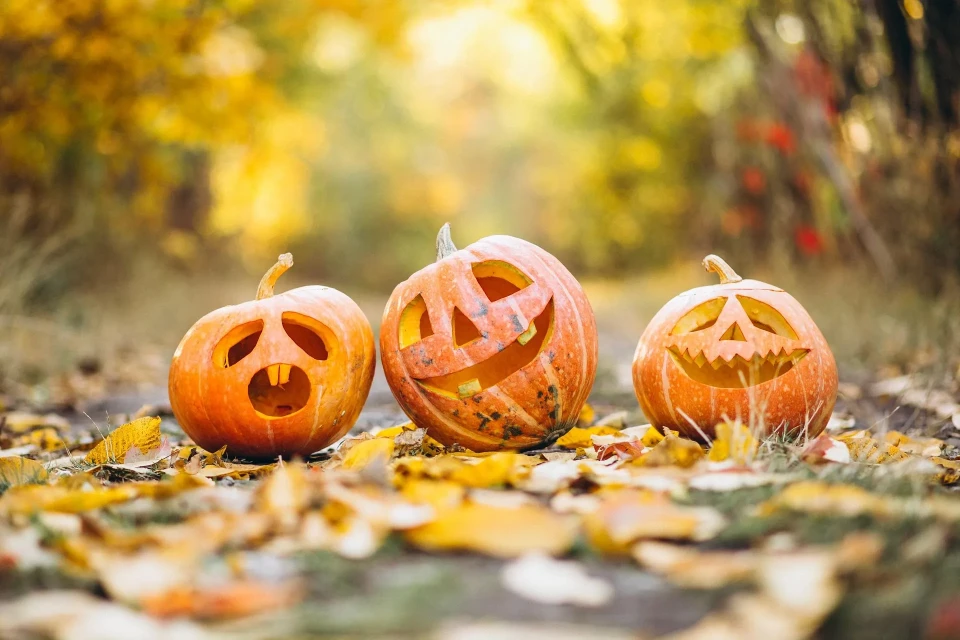 gadgemayur pumpkin 6720424 1920