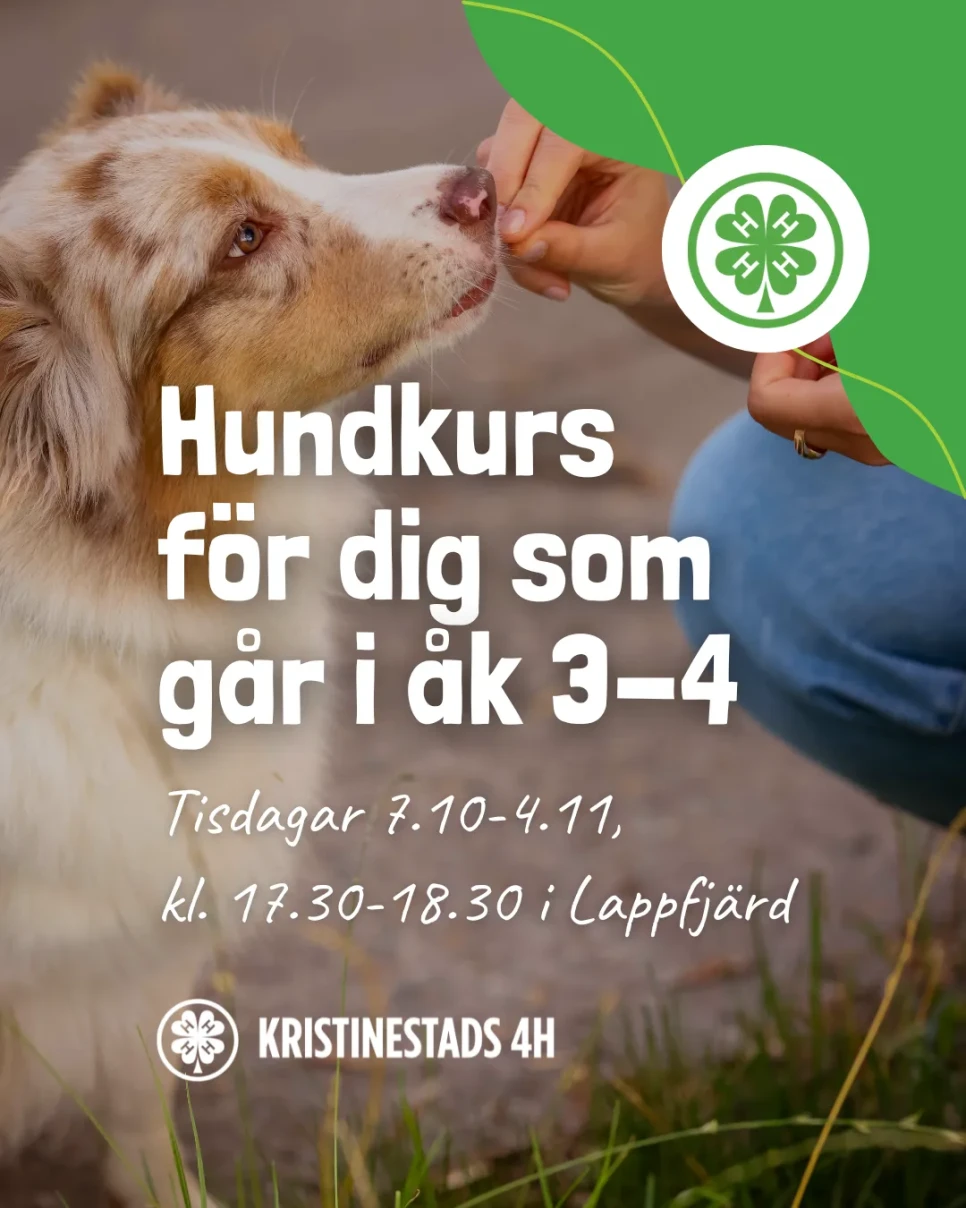 hundkurs kristinestads4h