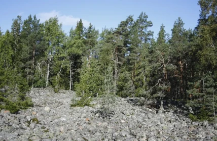 luontovaasa retkeily luonto ojberget1 ojberget kivet jn