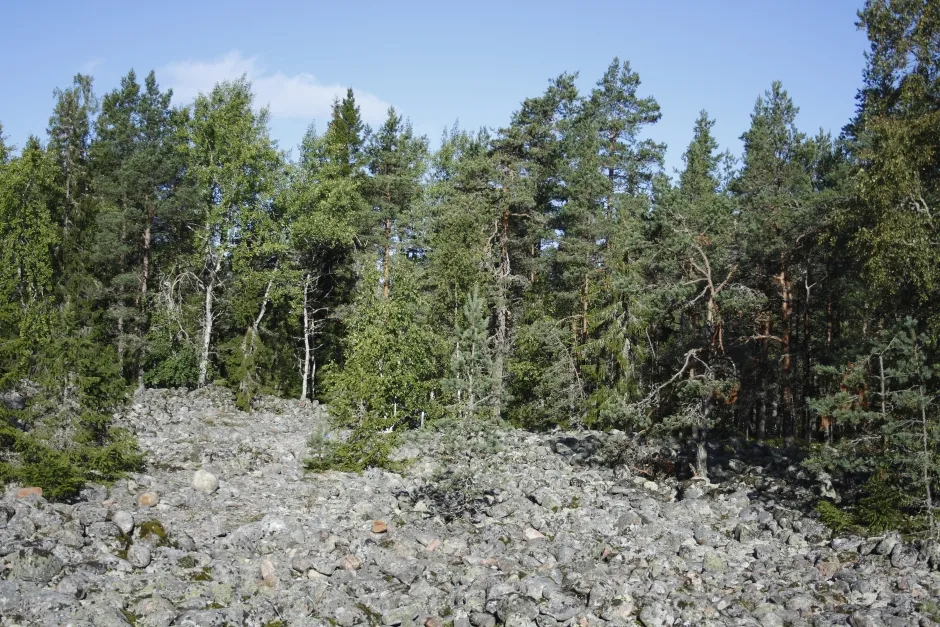 luontovaasa retkeily luonto ojberget1 ojberget kivet jn