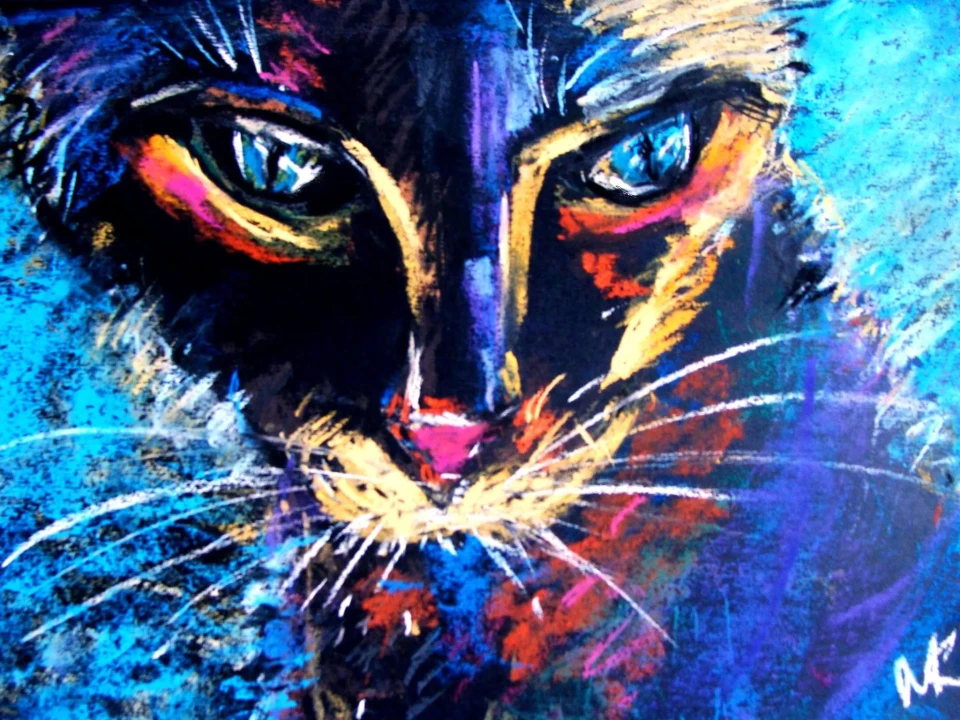 musta kissa pastelliliiduilla Natalia Kaleva