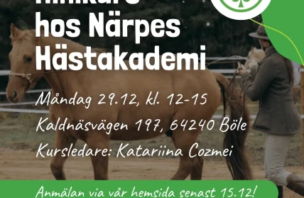 narpes hastakademi kristinestads4H 2025