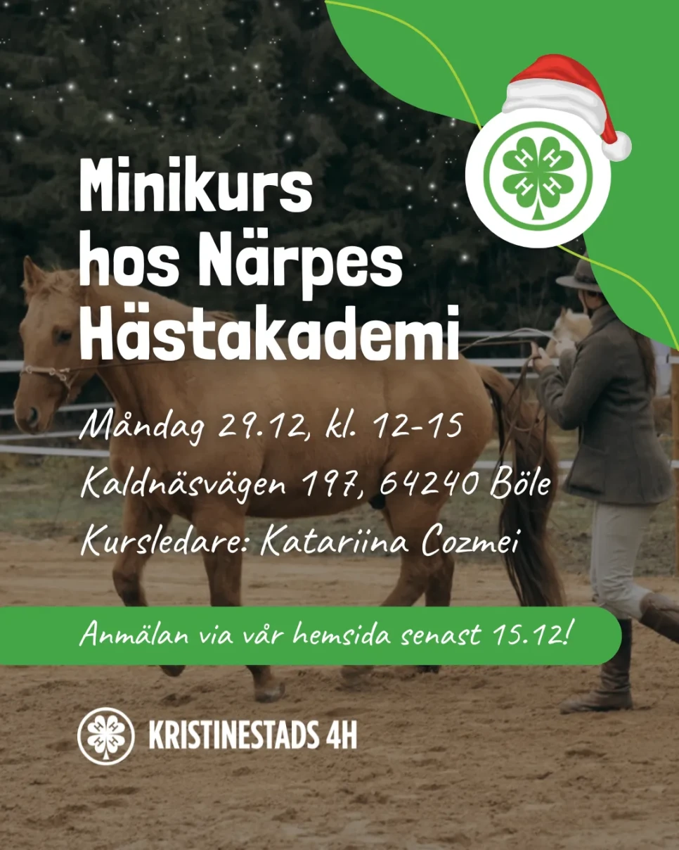 narpes hastakademi kristinestads4H 2025