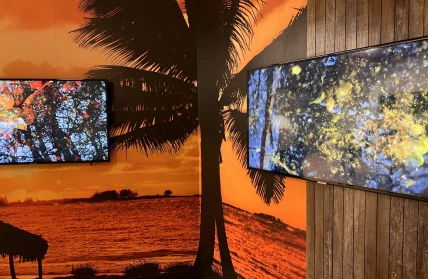 seeing is believing preview