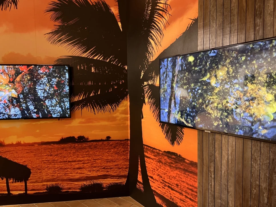 seeing is believing preview