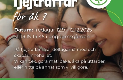 tjejtraffar 7 host 2025 
