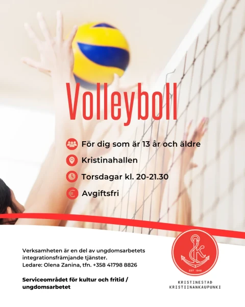 volleyboll sv