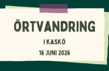 https://kaskinen.fi/fi/node/4545