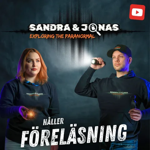 https://mi.pedersore.fi/api/xml/course/4809?locale=sv_SE