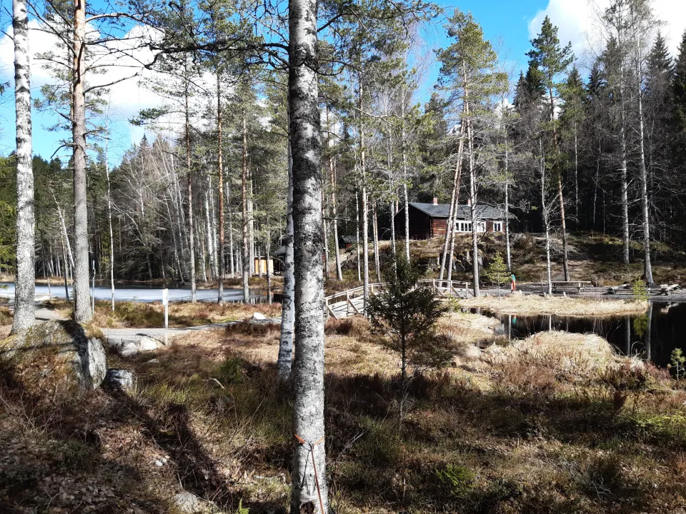 https://admin.mi.pedersore.fi/api/xml/course/5111?locale=sv_SE
