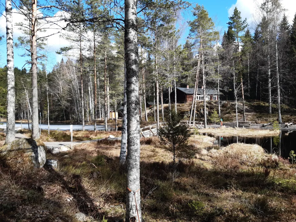 https://admin.mi.pedersore.fi/api/xml/course/5111?locale=sv_SE