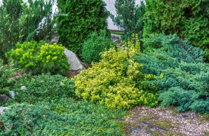 https://admin.mi.pedersore.fi/api/xml/course/5413?locale=sv_SE