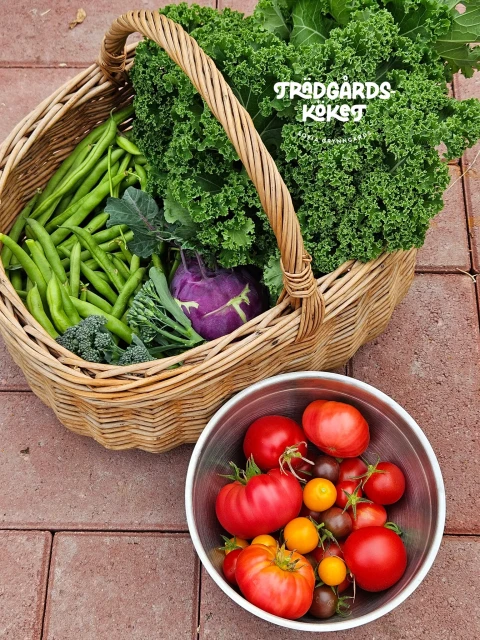 https://admin.mi.pedersore.fi/api/xml/course/5272?locale=sv_SE