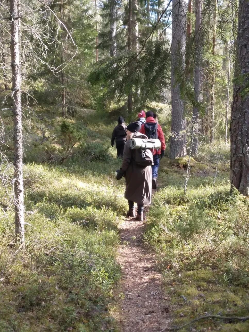 https://admin.mi.pedersore.fi/api/xml/course/5495?locale=sv_SE