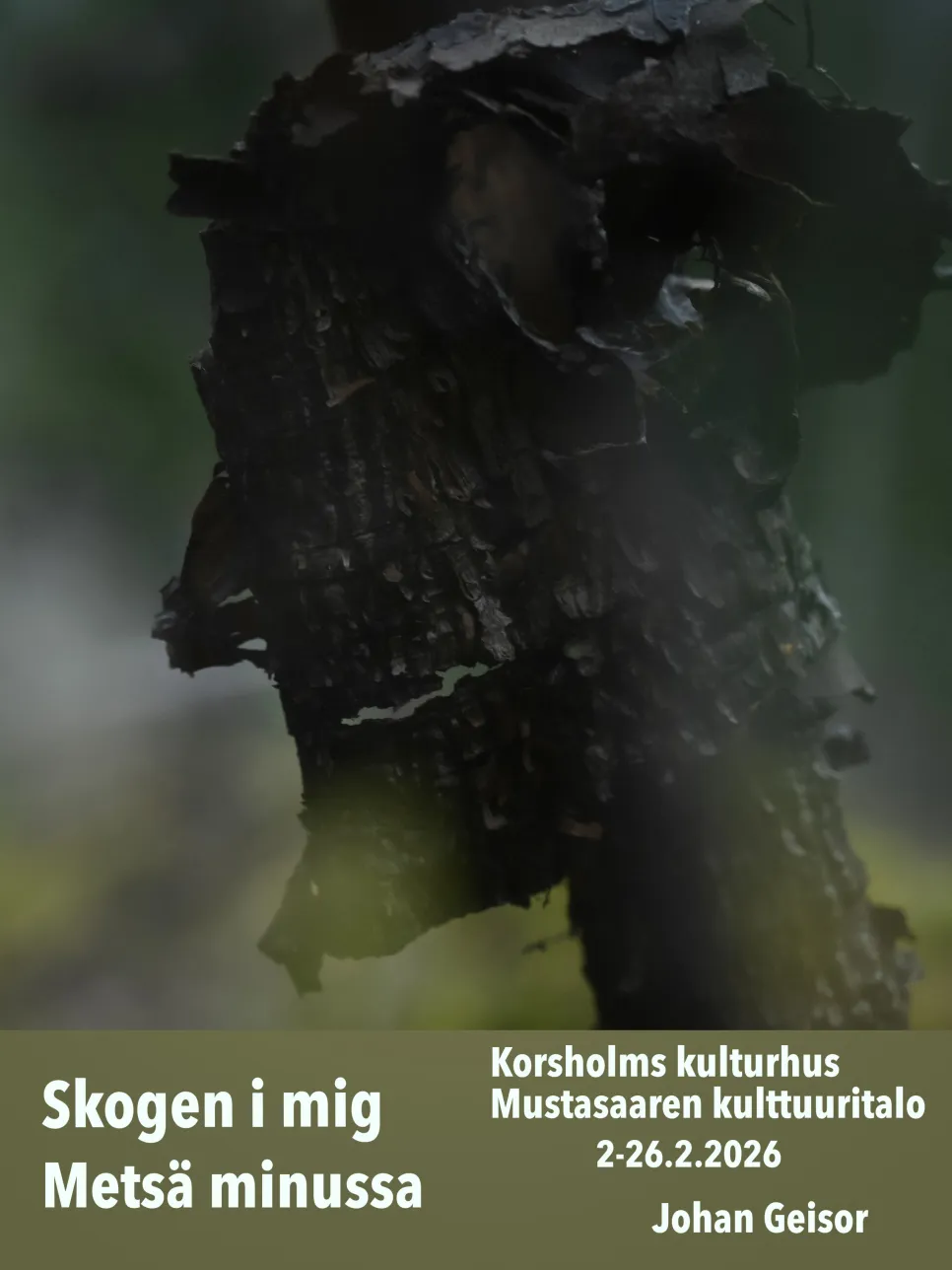 https://admin.vuxeninstitutet.korsholm.fi/api/xml/course/10358?locale=sv_SE