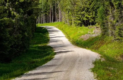 https://www.arbis.fi/api/xml/course/5879?locale=sv_SE