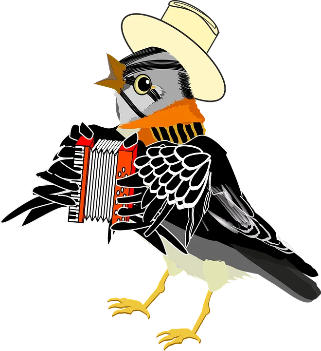 haitarilintu